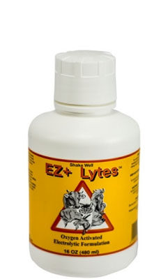 ez-plus-lytes-16oz